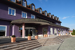 Hotel Phoenix