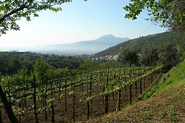 Agriturismo Casa Scola