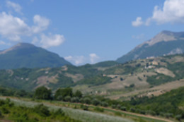 Agriturismo il Vecchio Carro
