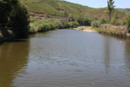 Aldeia Oliveiras