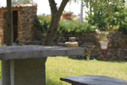 Aldeia Oliveiras