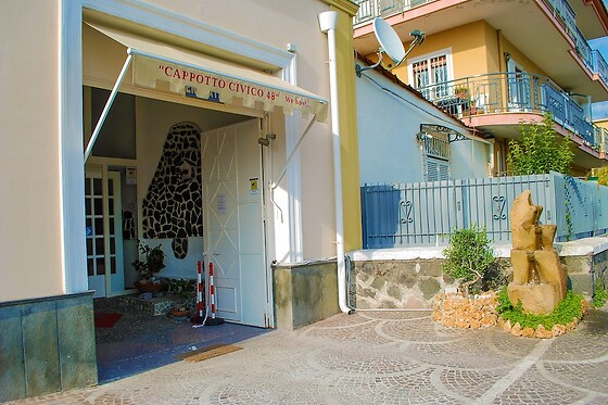 Online Booking EPS - photo 2