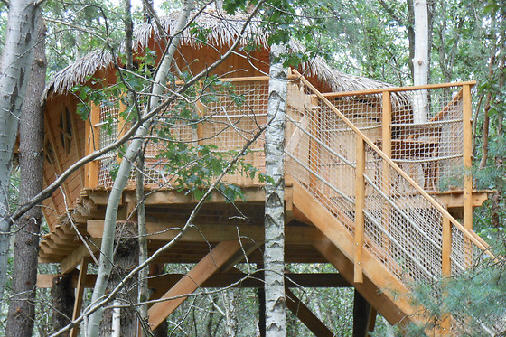 Embranchard - photo 0