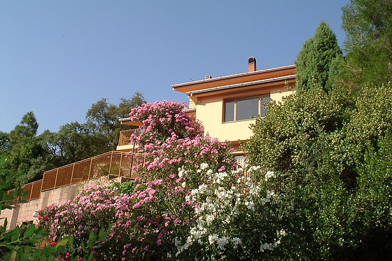 Villa Patrizia B&B Sul Lago - photo 3
