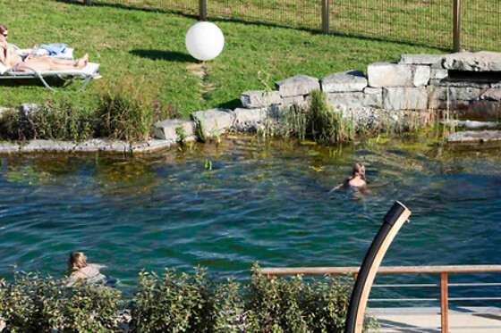 Novotel Bussigny Lausanne - photo 19