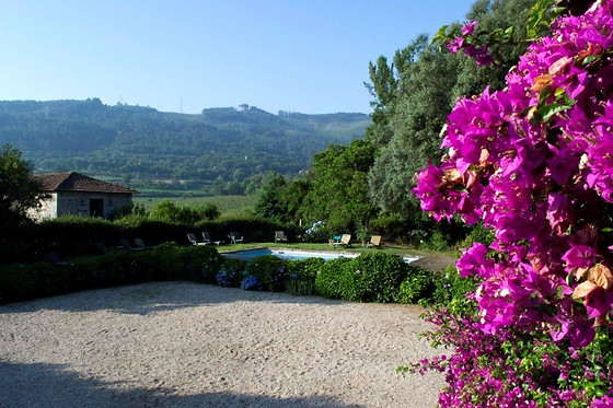 QUINTA DE SÃO VICENTE - photo 4
