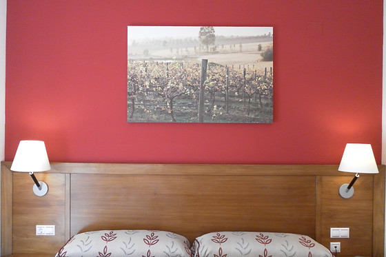 HOTEL MILAGROS RÍO RIAZA - photo 8