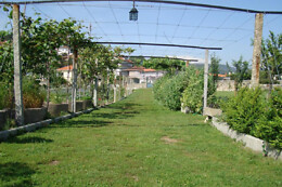 HOTEL SOLAR DAS LARANJEIRAS