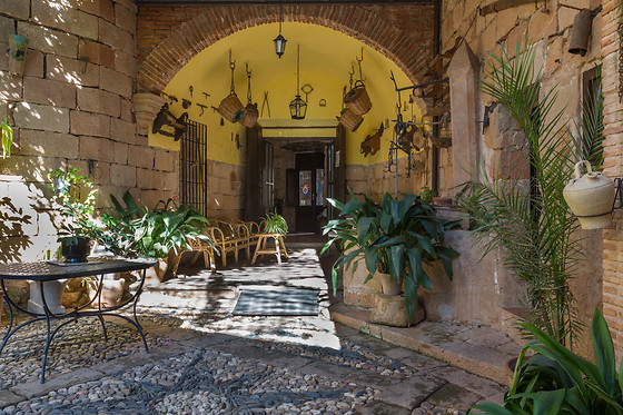 HOTEL RURAL PALACIO GUZMANES - photo 2
