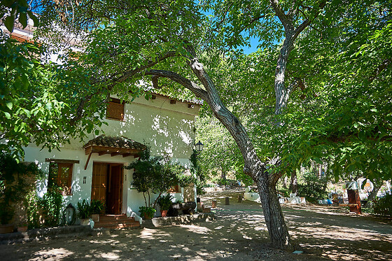 CORTIJO DE RAMÓN - photo 8
