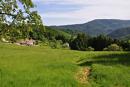 Ferme SAXERMATT