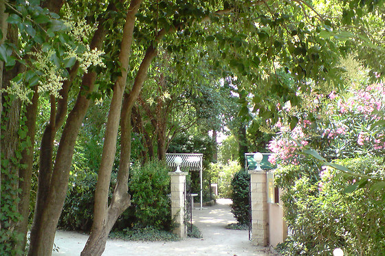 L'Orangerie - photo 0