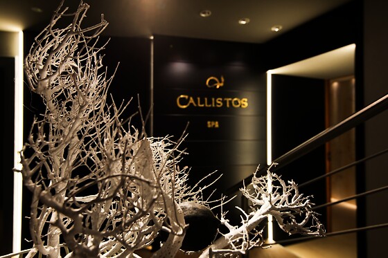 Callistos Hotel - photo 13
