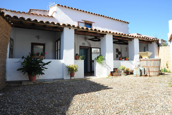 B&B Martina - photo 5