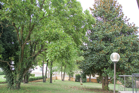 Boteroom Relais - photo 7
