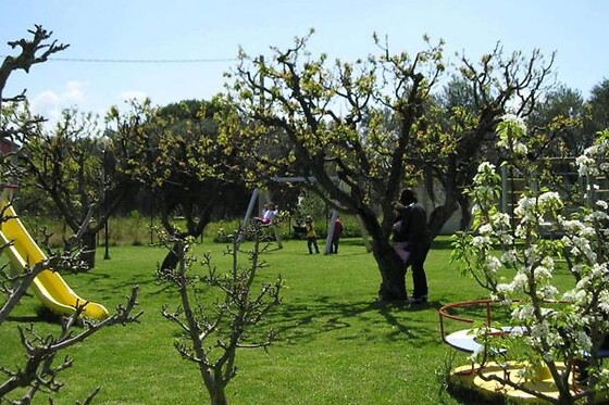 Online Booking EPS - photo 0