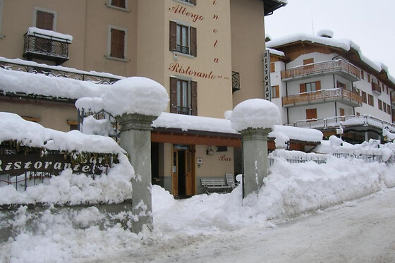 Albergo Pineta - photo 5