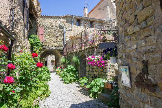 Les Roses Tremières - photo 17