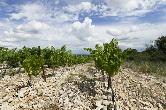 La maison des Causses - photo 16