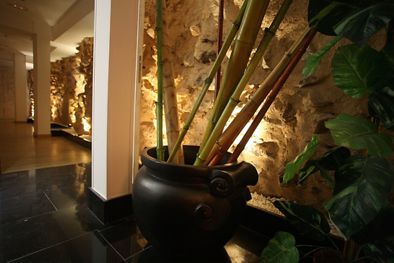 HOTEL BOUTIQUE CASTILLA - photo 2