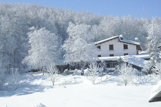 Albergo Rifugio del Cinghiale - photo 0