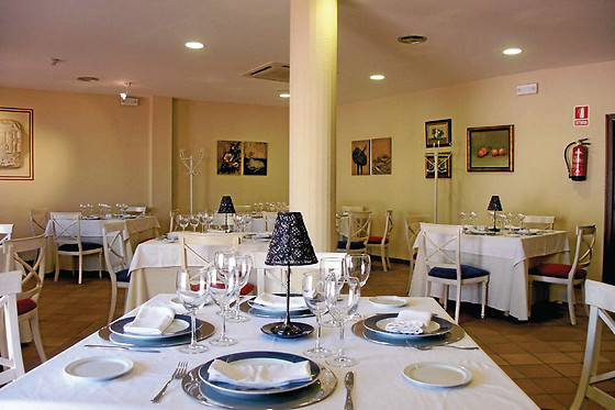 HOTEL PALACIO LAS MANILLAS - photo 7