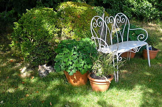 La Pommeraie 27 - photo 8