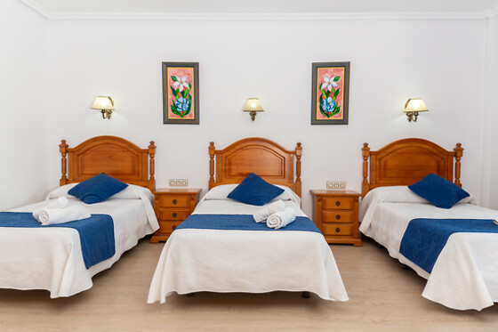 HOSTAL LOS ROSALES - photo 1