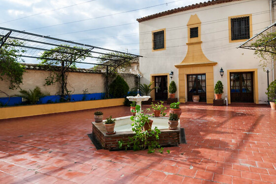 HOTEL PALACIO LAS MANILLAS - photo 14