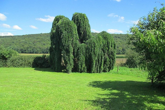 Domaine de Fontenelay - photo 4