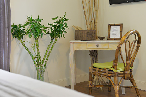 Chambre d'hôtes Les Ifs - photo 6