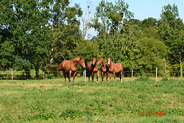 Domaine des Vaulx